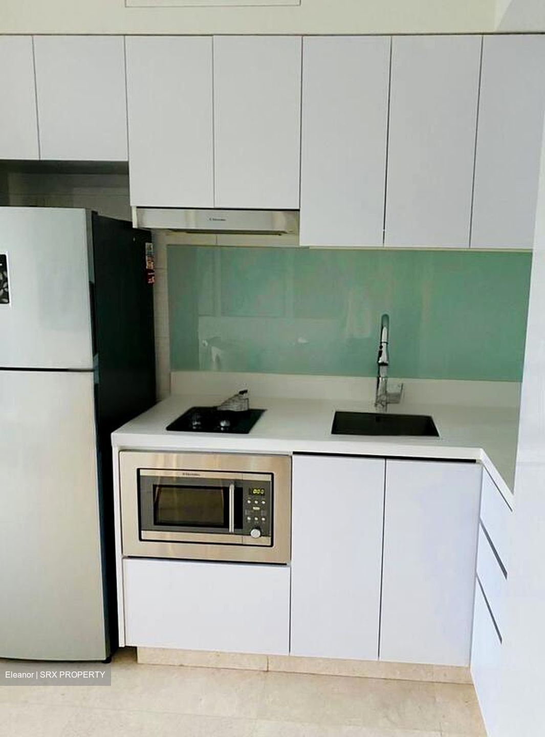 Eight Riversuites (D12), Condominium #497180171